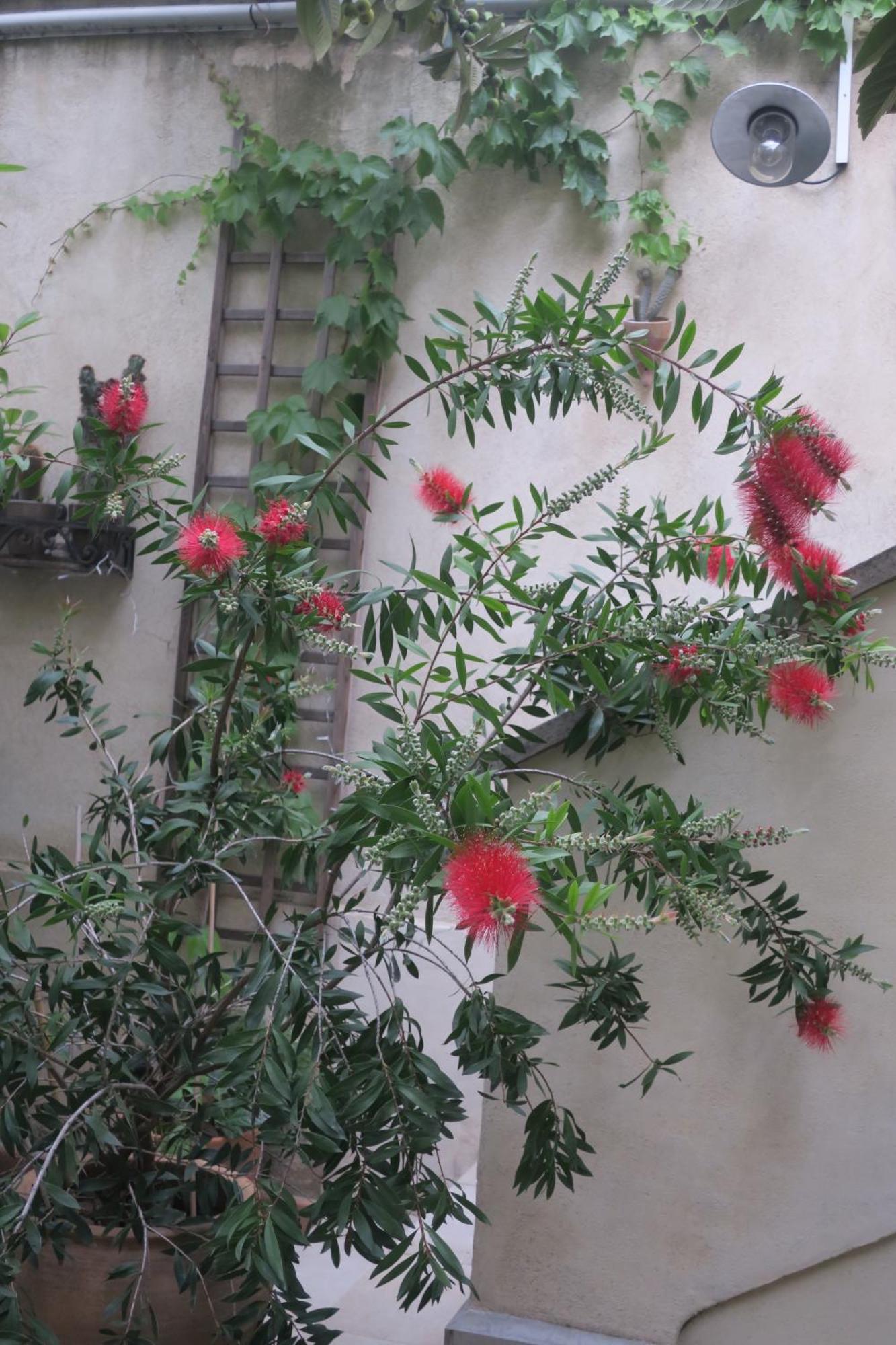 Tombe La Nefle Bed & Breakfast Avignon Exterior photo