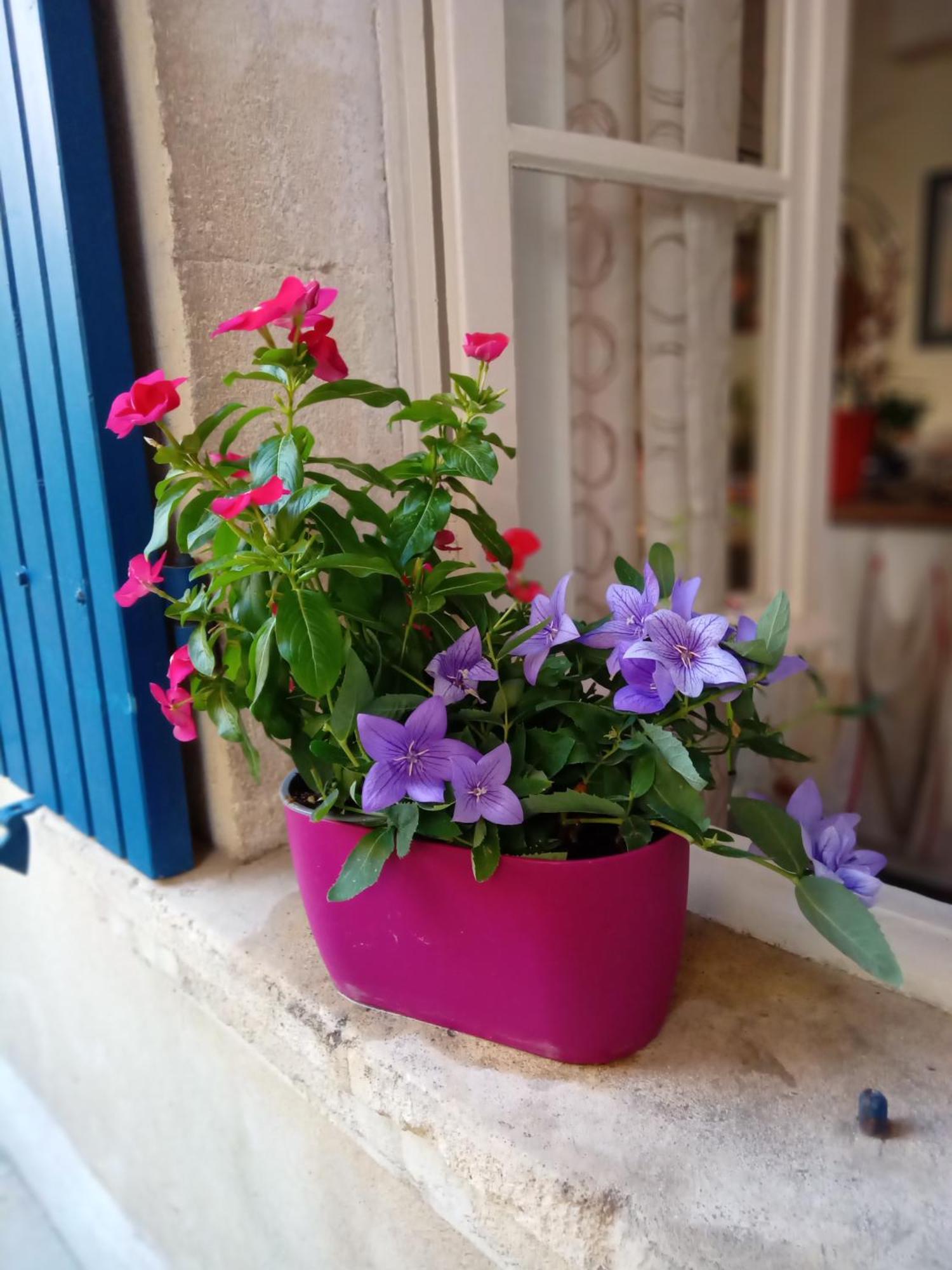 Tombe La Nefle Bed & Breakfast Avignon Exterior photo